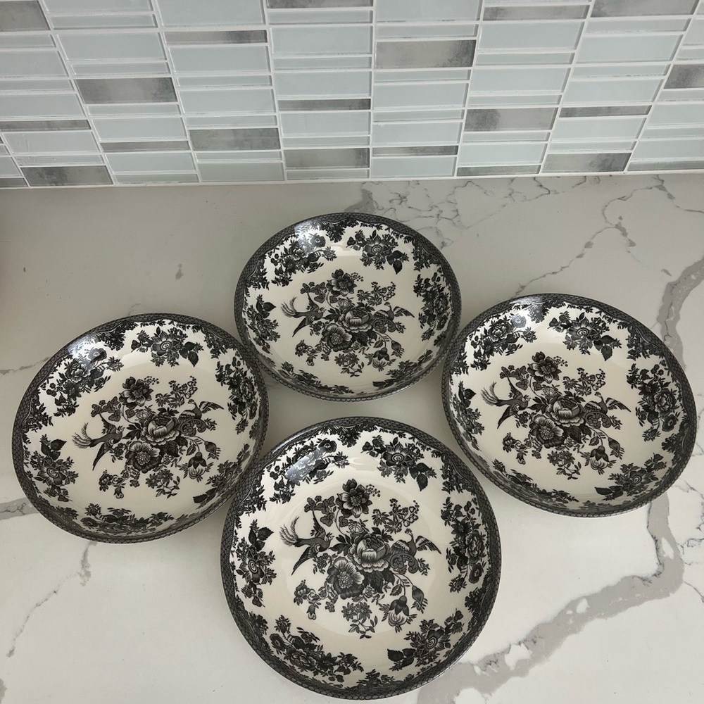 Royal Stafford Pasta Bowls set of 4